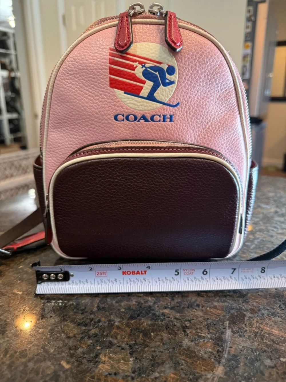 Coach Pink and Burgundy Colorblock Leather Mini Court Backpack Skiing